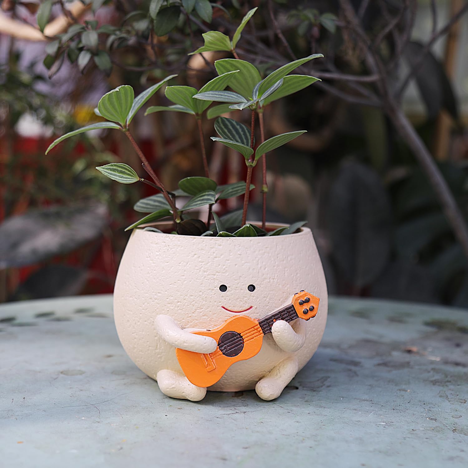 Amazon.co.jp: フェイスプランターポット屋内植物用かわいいギター植物